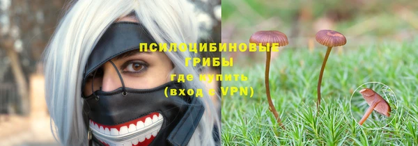 тгк Армянск