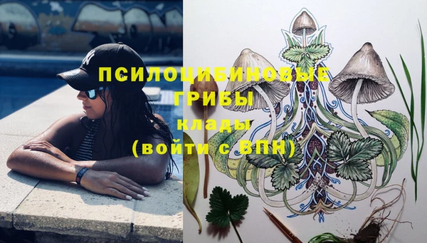 PSILOCYBIN Аркадак
