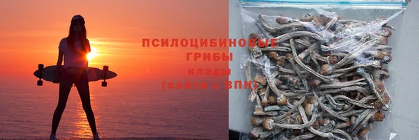 сатива Арсеньев