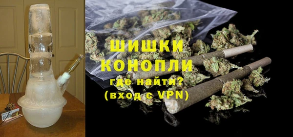 PSILOCYBIN Аркадак