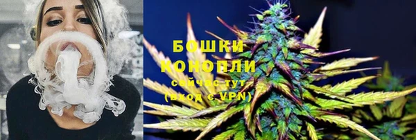 сатива Арсеньев