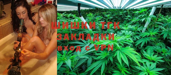 PSILOCYBIN Аркадак