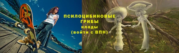 сатива Арсеньев