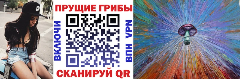 где купить наркоту  Пущино  Псилоцибиновые грибы Magic Shrooms 