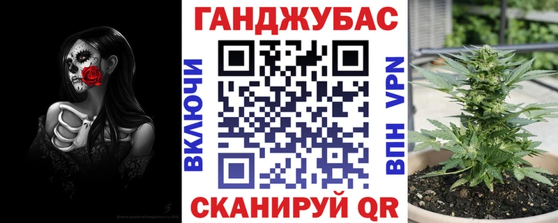 Канабис гибрид  Пущино 
